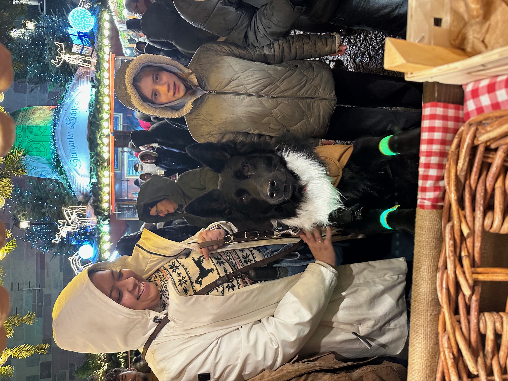 Langhaar Schäferhund HEINRICH