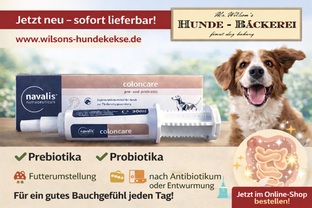 coloncare dog