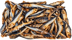 Mr-Wilson-Silling-getrockneter-Fisch